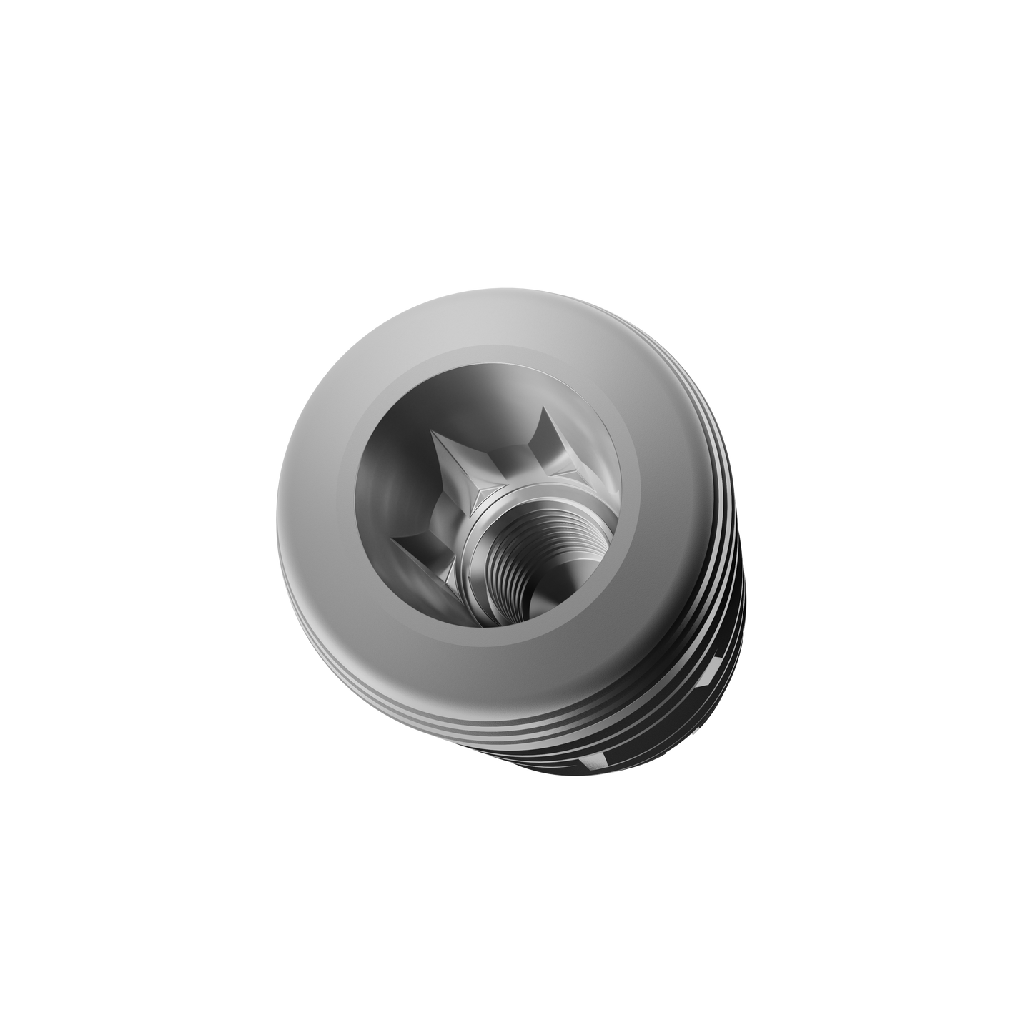 Epikut Cono Morse